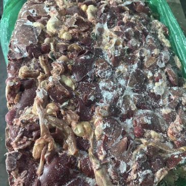 公鸡鸡肝