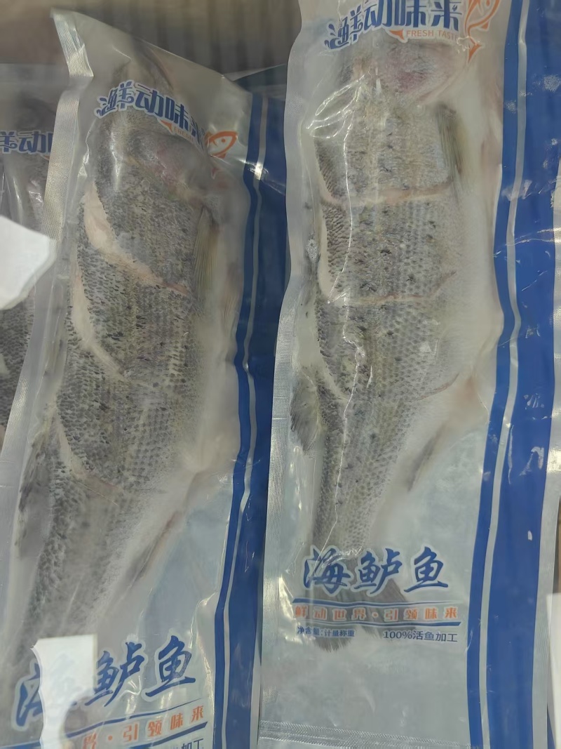 海鲈鱼