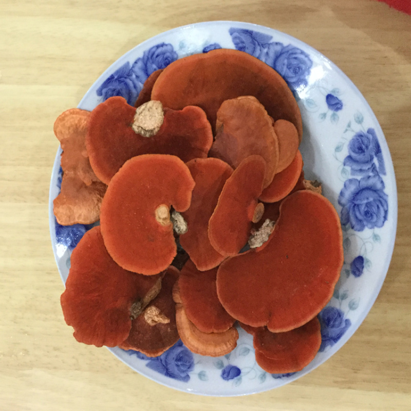 深山野生牛樟芝红栓菌红老木菌大量供应