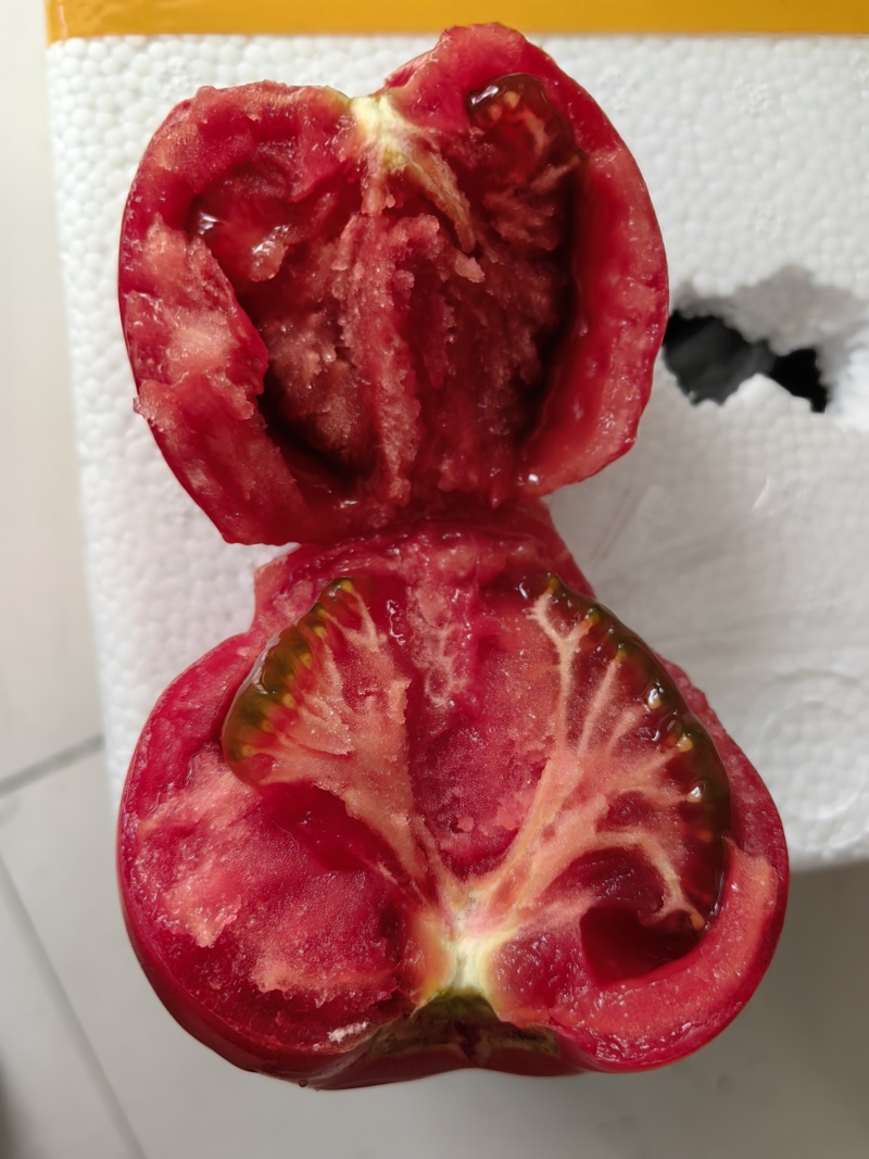 金瑞一号越夏口感大粉西红柿苗抗病毒抗死棵抗灰叶斑耐热耐裂