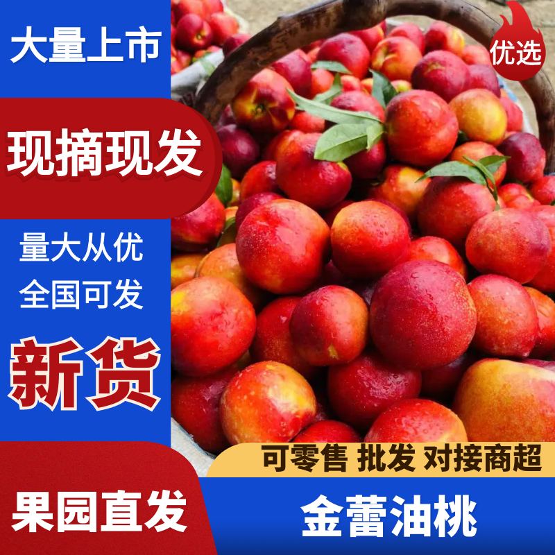 油桃/金雷曙光中油早熟518供应市场商超电商一手货源