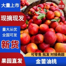 油桃/金雷曙光中油早熟518供应市场商超电商一手货源