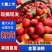油桃/金雷曙光中油早熟518供应市场商超电商一手货源