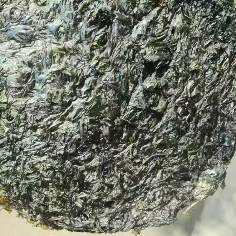 紫菜干紫菜福建霞浦紫菜无沙紫菜散装紫菜