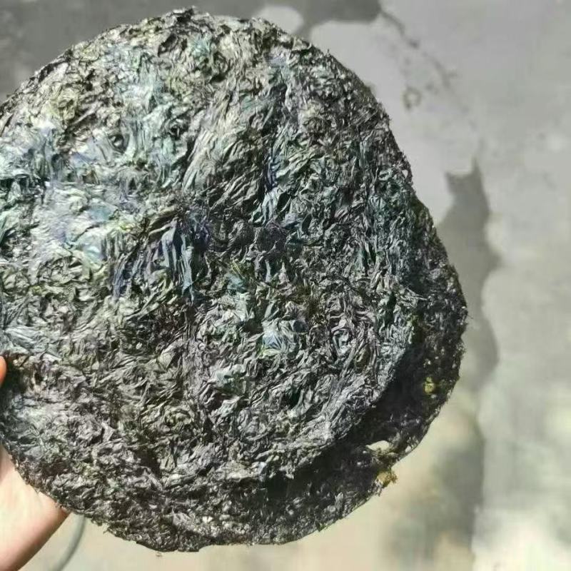 紫菜干紫菜福建霞浦紫菜无沙紫菜散装紫菜