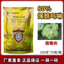 一代霜娇80%稀酰吗啉黄瓜霜霉病