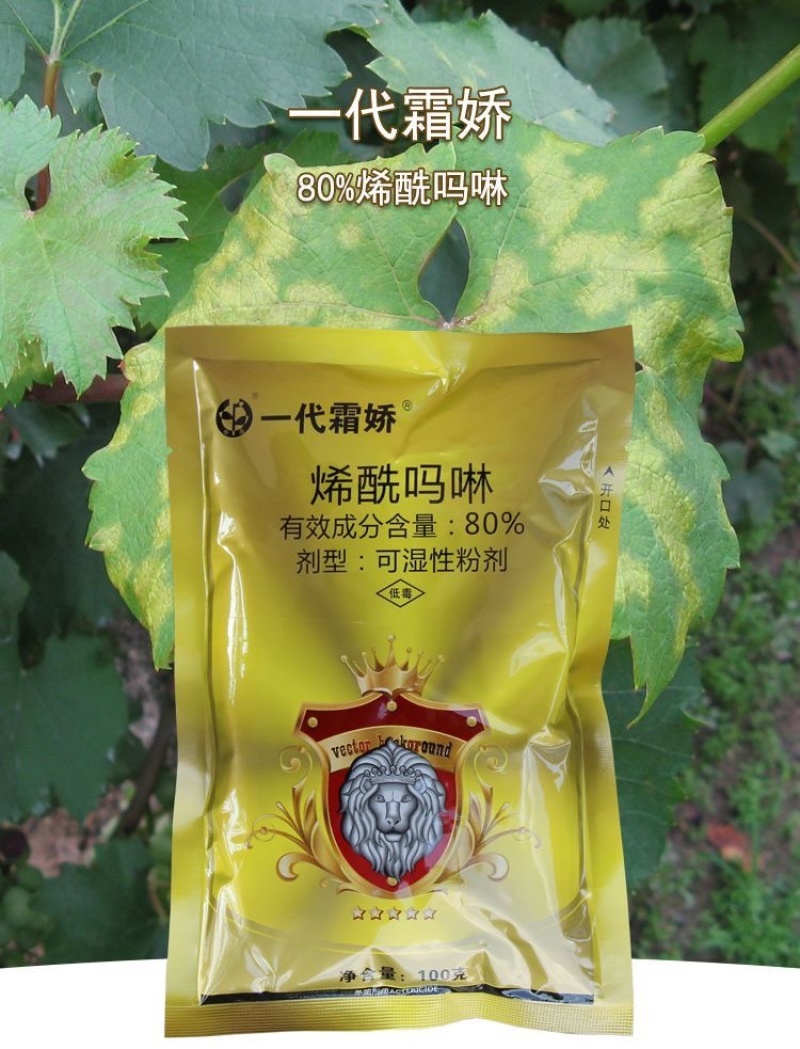 一代霜娇80%稀酰吗啉黄瓜霜霉病