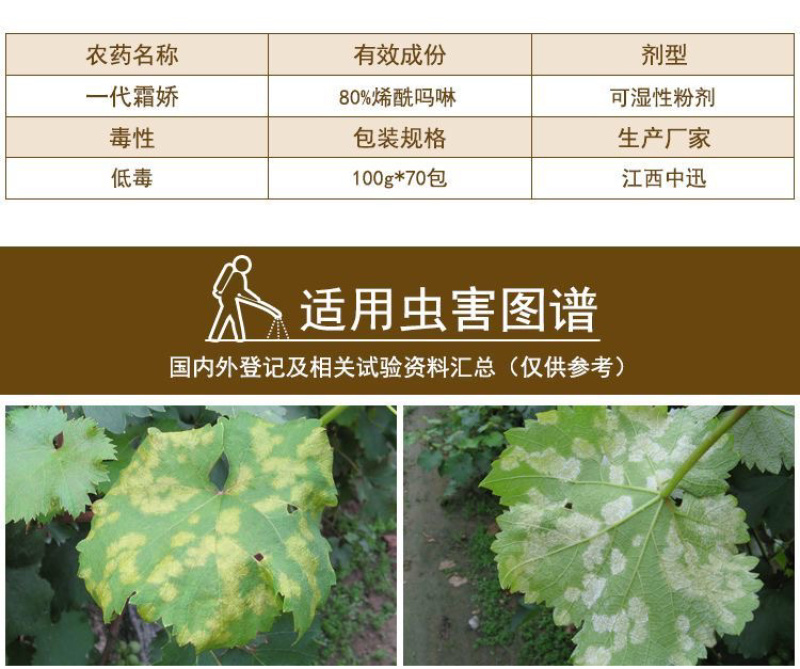 一代霜娇80%稀酰吗啉黄瓜霜霉病