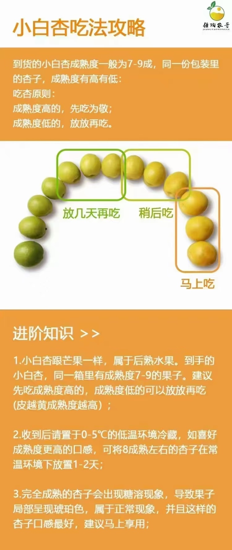 【推荐】小白杏货源充足量大从优质量保证产地发货欢迎