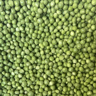 好货纯手工青豌豆米，货源充足，量大从优，致电联系