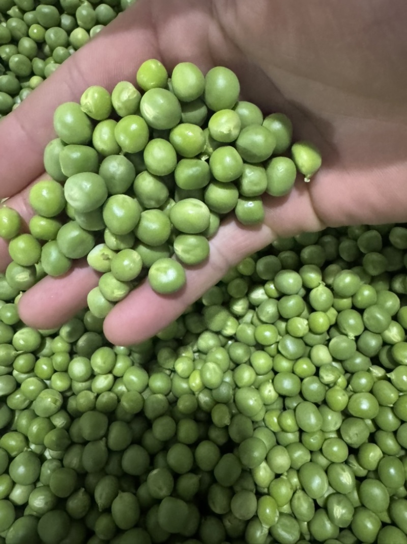 好货纯手工青豌豆米，货源充足，量大从优，致电联系