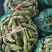 精品大豆