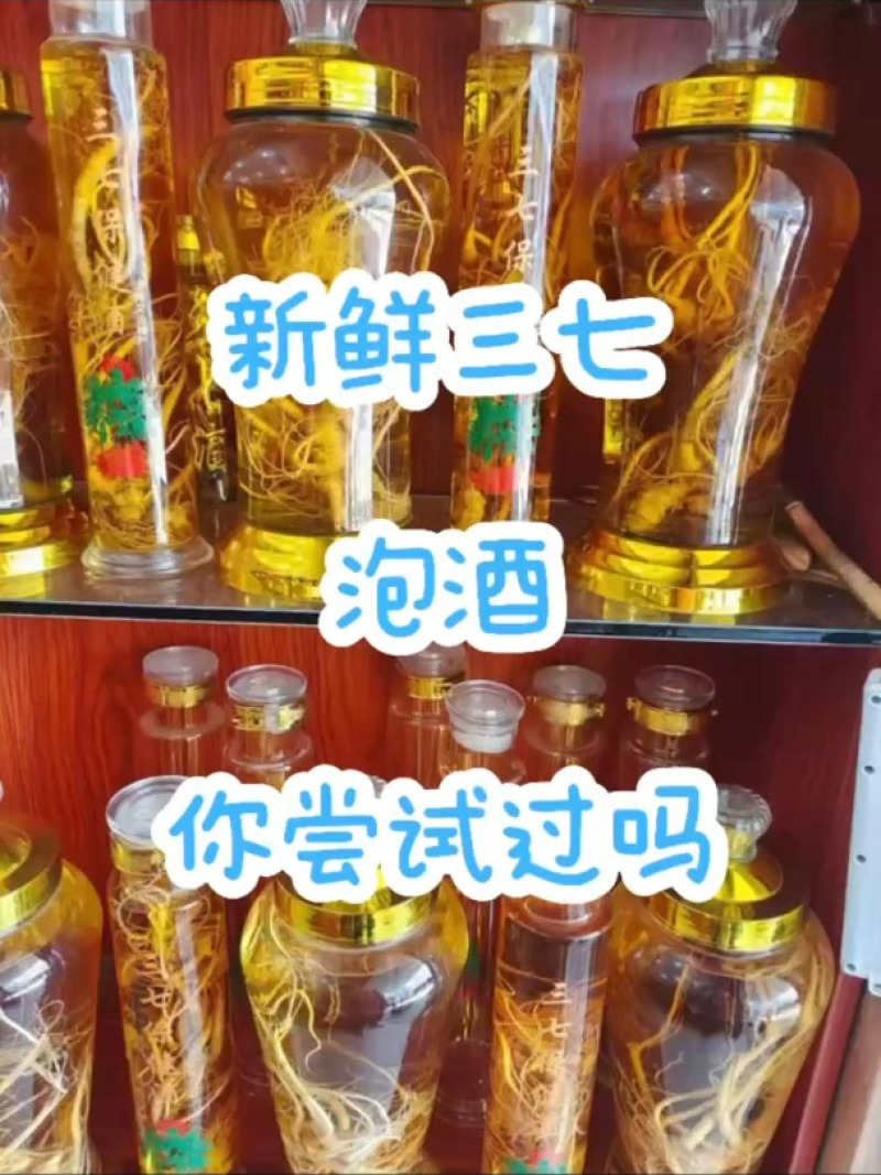 新鲜三七（泡酒三七）/量大价优/可视频看货/包邮