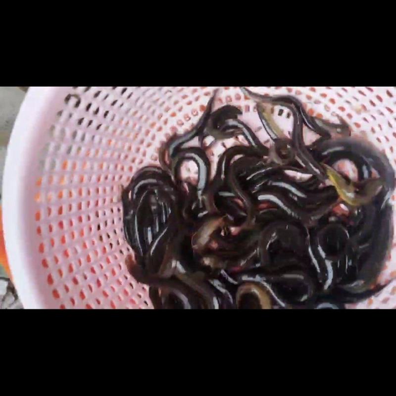 稻田泥鳅***********