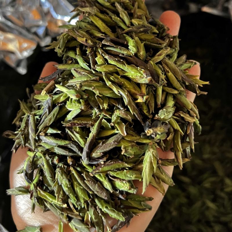野生绿芽饱
