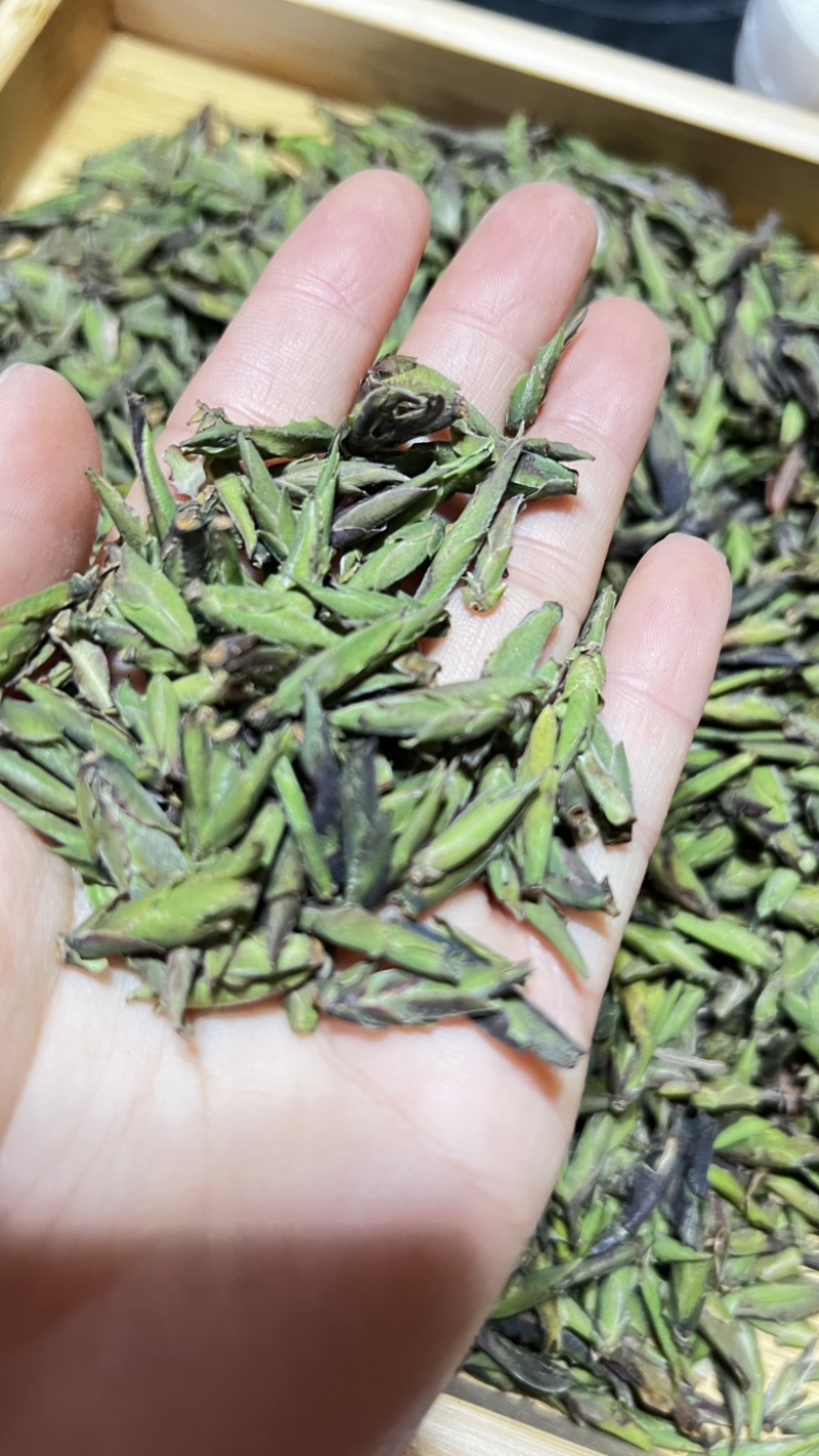 野生绿芽饱