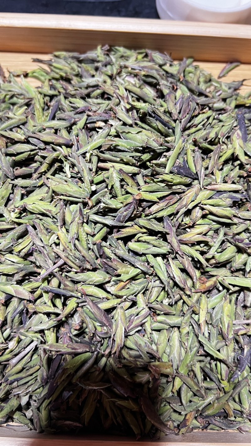 野生绿芽饱