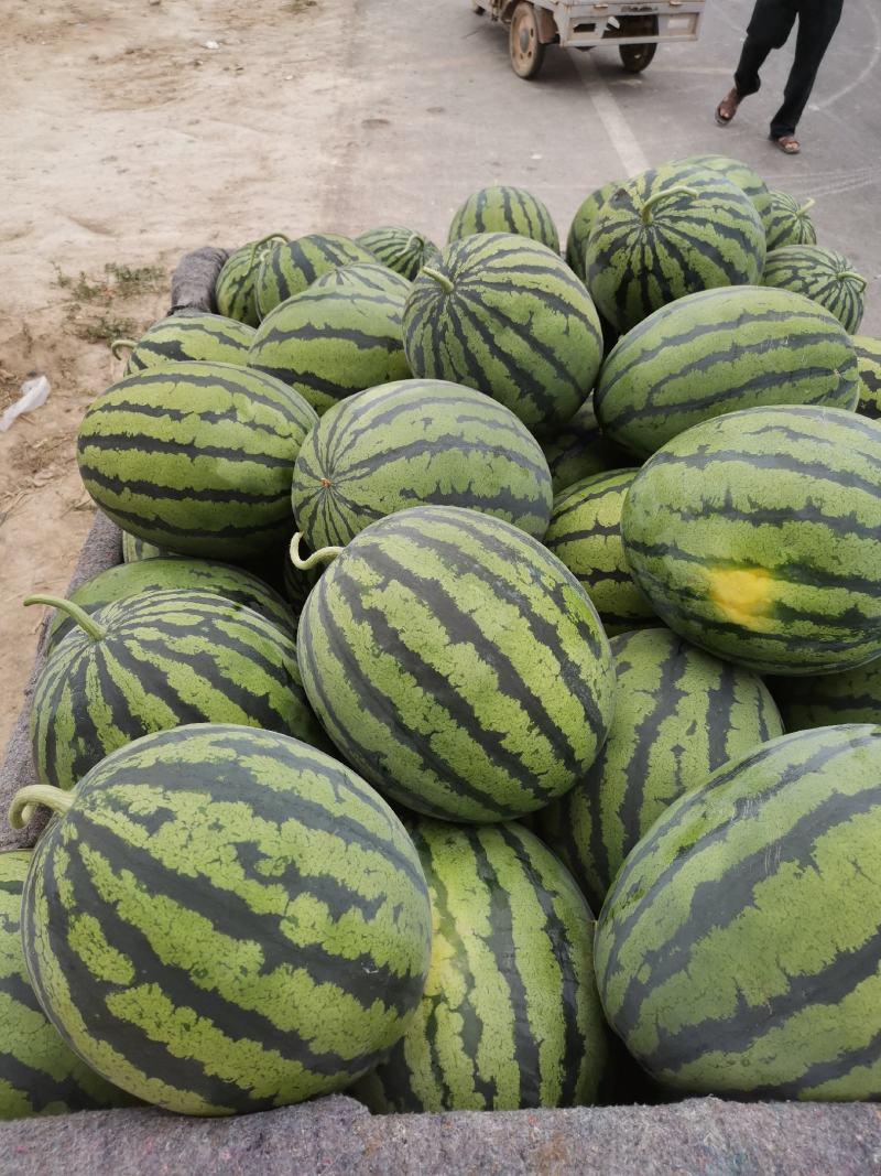 精品甜王产地直发全国各地市场商超，价格便宜，质量保证，，
