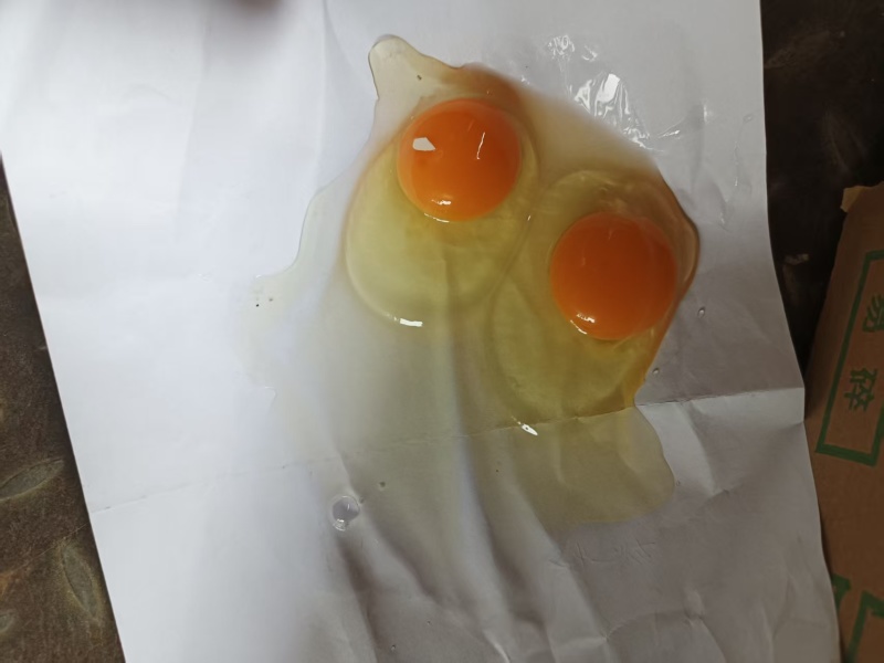 海兰罗曼红心粉