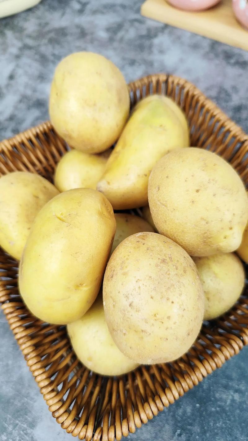 土豆