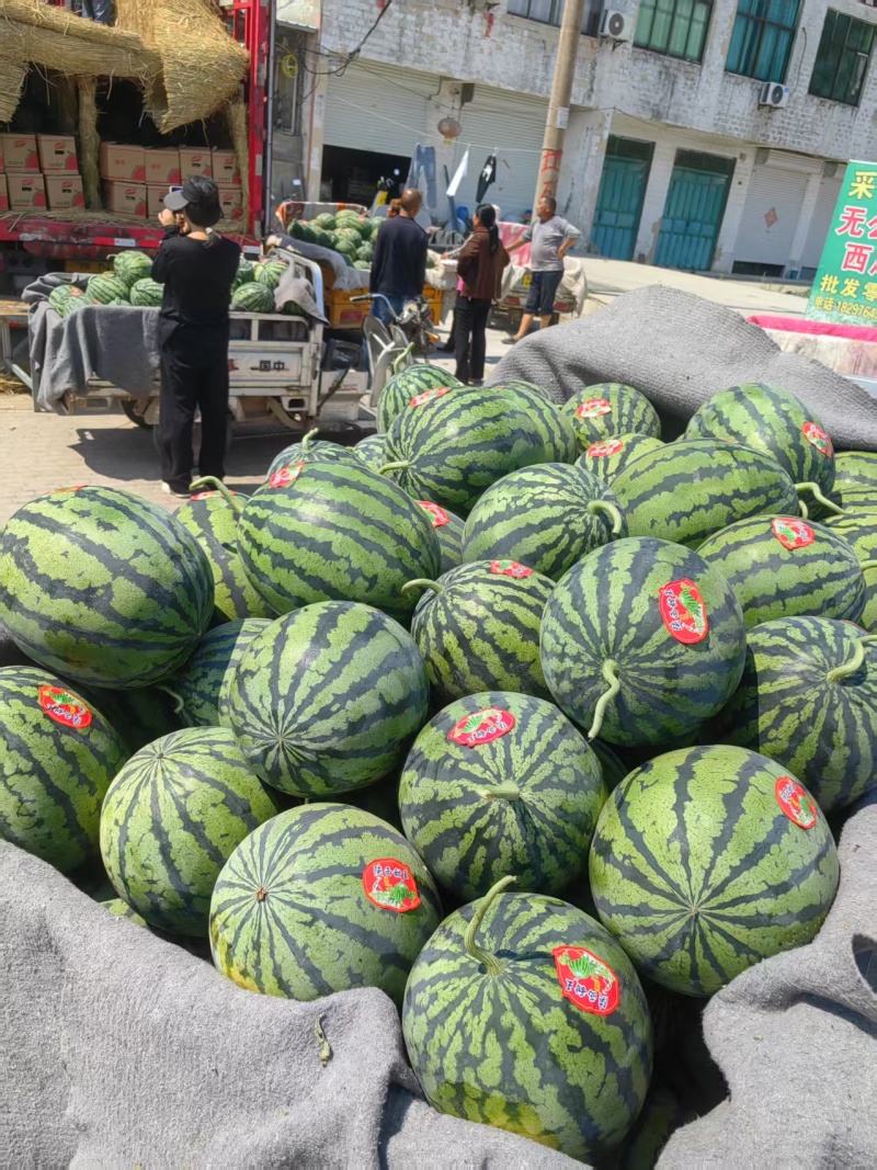 实力《甜王西瓜》湖北基地直发保质保量包熟包甜对接全国