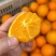 【夏橙】湖北橙子精品夏橙，对接全国电商/团购/商超批发商