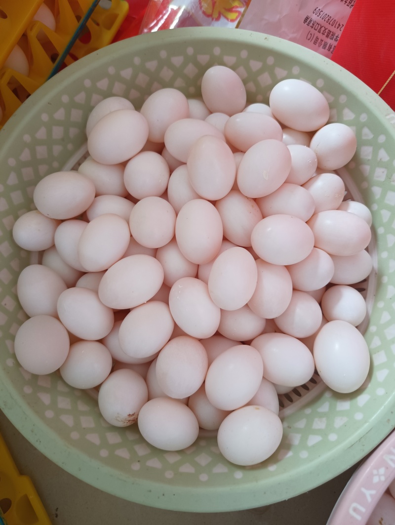 鸽子蛋它是高蛋白食材，富含优质蛋白质、多种维生素