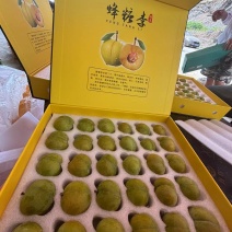 贵州省镇宁县六马镇蜂糖李，规格齐全，保质保量，可视频看货
