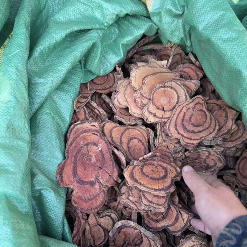 云南鸡血藤干片