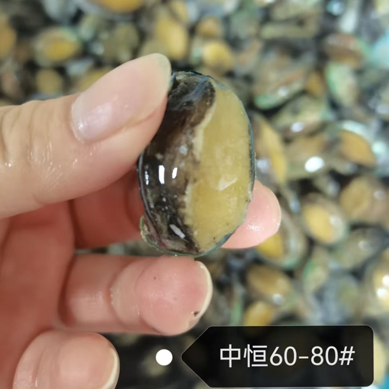 鲜活速冻鲍鱼60-80头鲍鱼工厂供应海鲜水产冻品批发