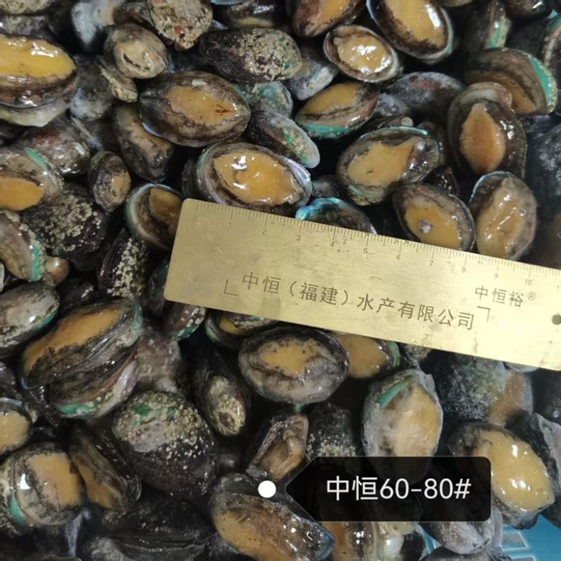 鲜活速冻鲍鱼60-80头鲍鱼工厂供应海鲜水产冻品批发