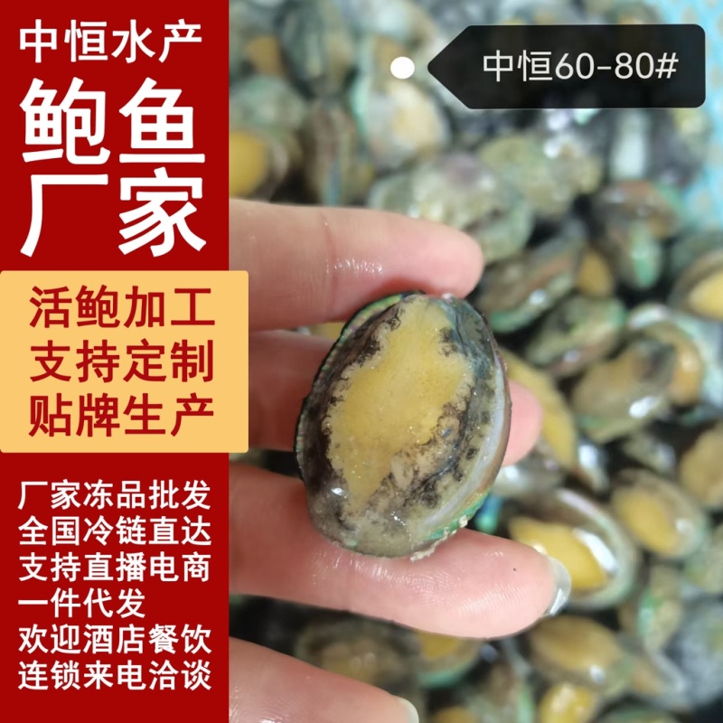 鲜活速冻鲍鱼60-80头鲍鱼工厂供应海鲜水产冻品批发