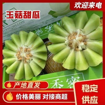 玉菇软糯香甜，电商通货精品大量上市，每天100万斤