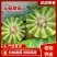 玉菇软糯香甜，电商通货精品大量上市，每天100万斤