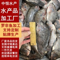 三去罗非鱼鲜活加工水产冻品酒店餐饮商用批发
