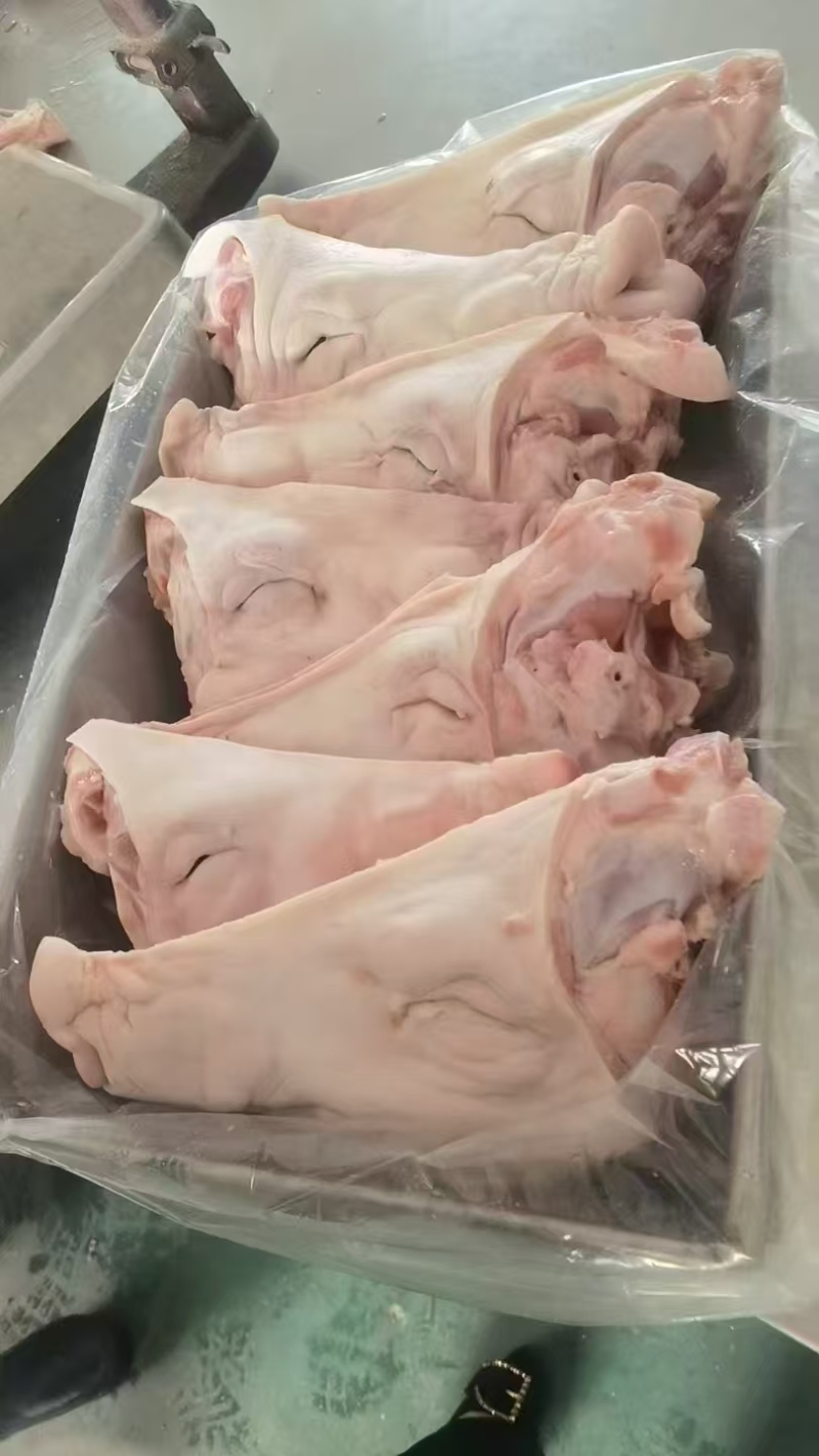 鸿运当头生猪头