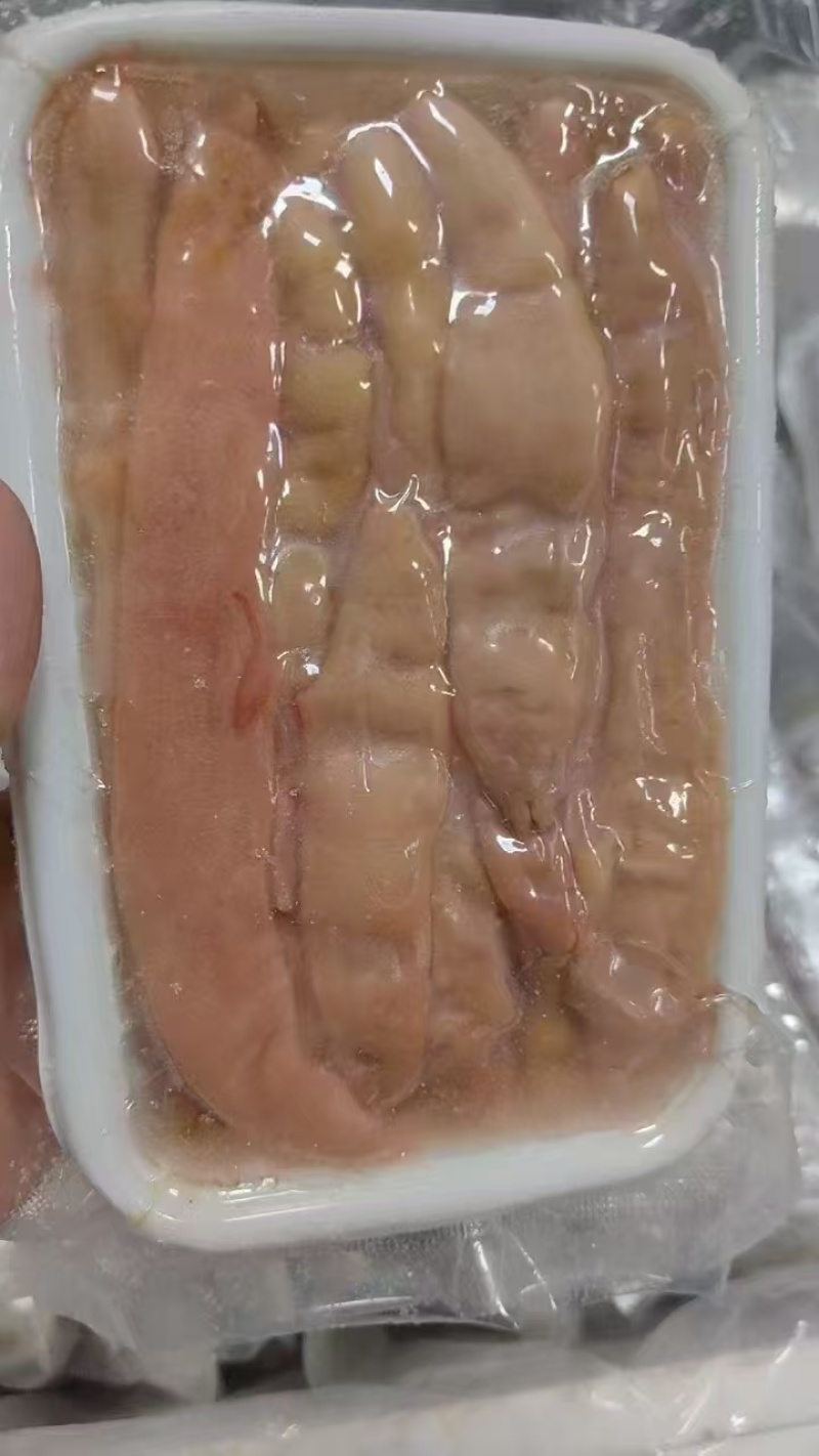 海肠