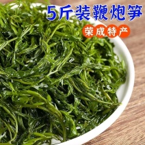 新鲜海草鞭炮笋羊栖菜马尾藻长寿菜火锅盐渍海藻菜非干货整箱
