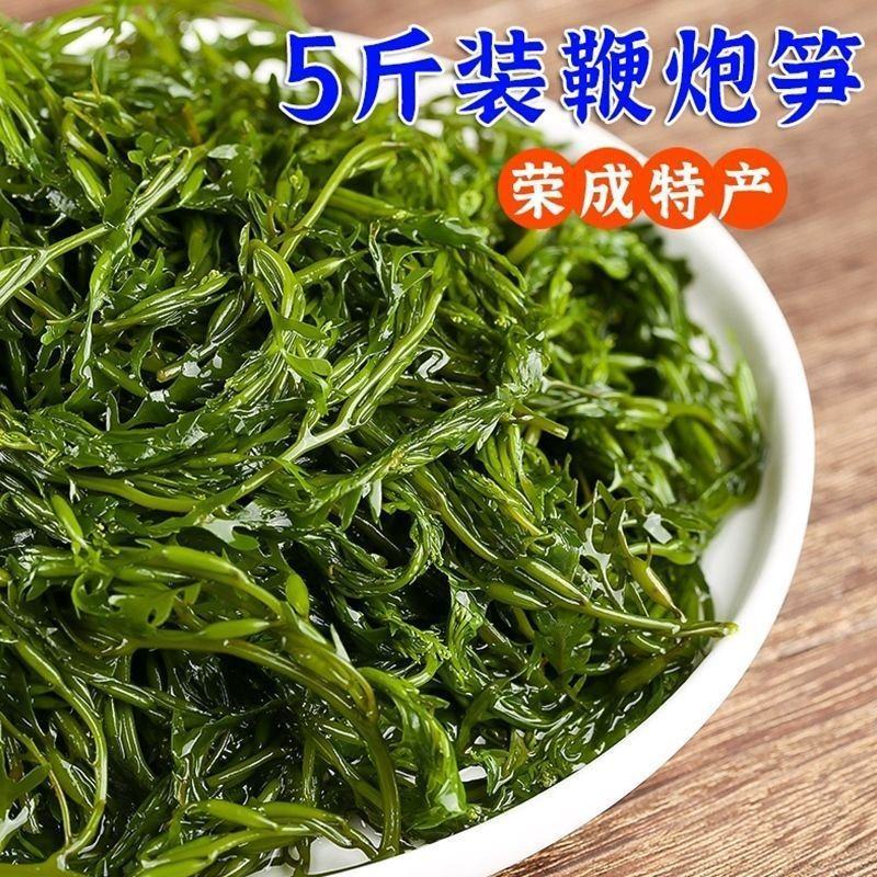新鲜海草鞭炮笋羊栖菜马尾藻长寿菜火锅盐渍海藻菜非干货整箱