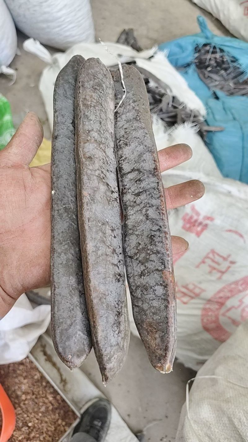 大皂角中药材皂角荚皂角段皂角粉大量批发