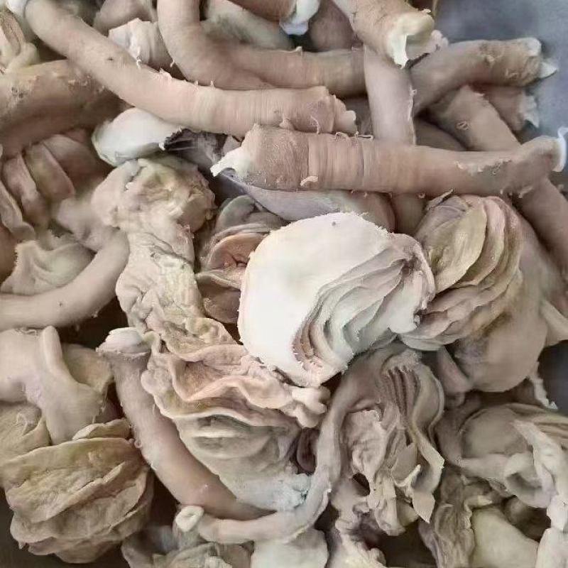 羊小肚红肠加肚加散带羊百叶等，纯干货，干净