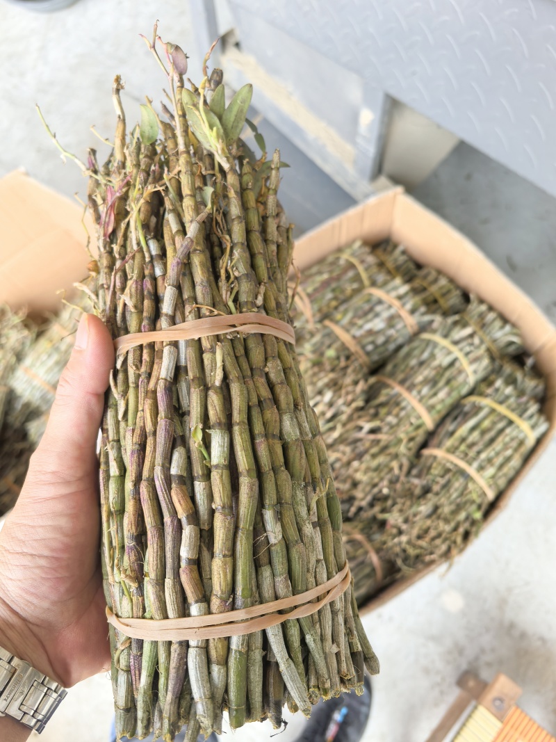 铁皮鲜条