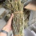 铁皮鲜条