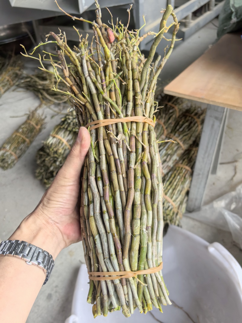 铁皮鲜条