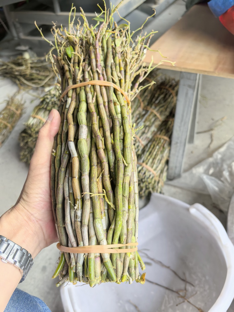 铁皮鲜条