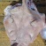 猪头肥猪劈开无耳猪头9-10斤猪头瘦肉多无耳猪头猪头