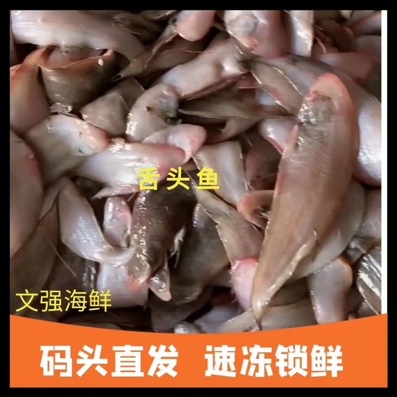 包邮）冷链龙利鱼海捕舌头鱼踏板鱼鳎目鱼鱼柳子板鱼海鲜水产