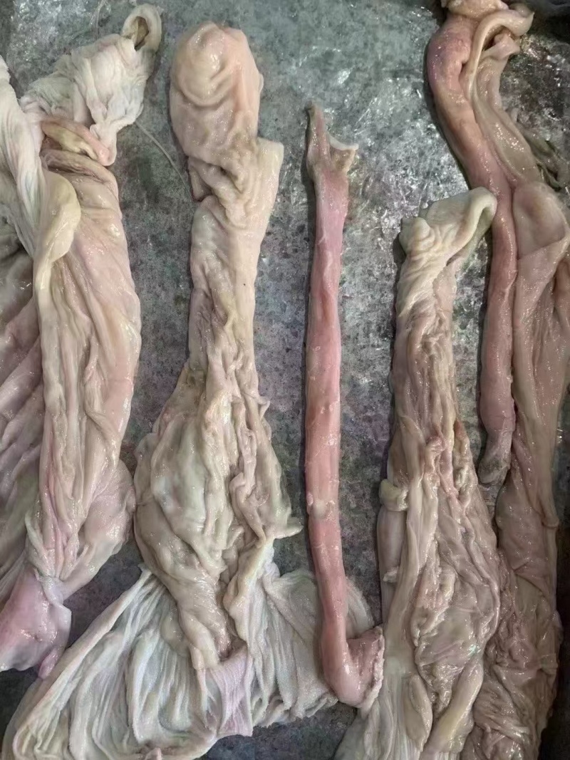 羊小肚红肠加肚加散带羊百叶等，纯干货，干净