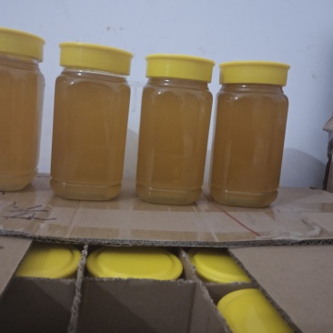蜂蜜中锋蜂蜜，50斤起发不含运费，自家土蜂蜜，波密度42