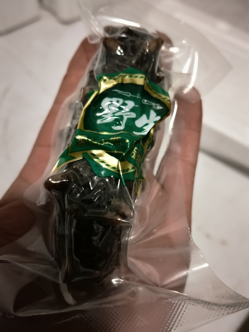 海参